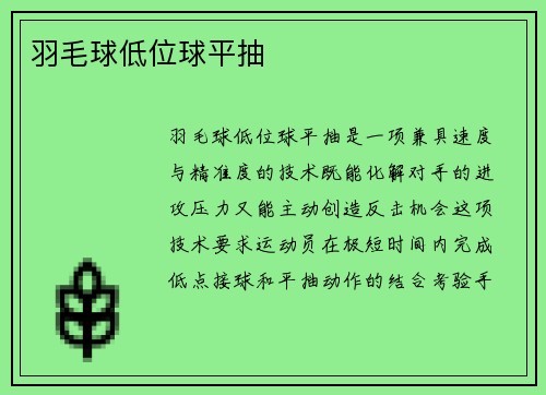 羽毛球低位球平抽